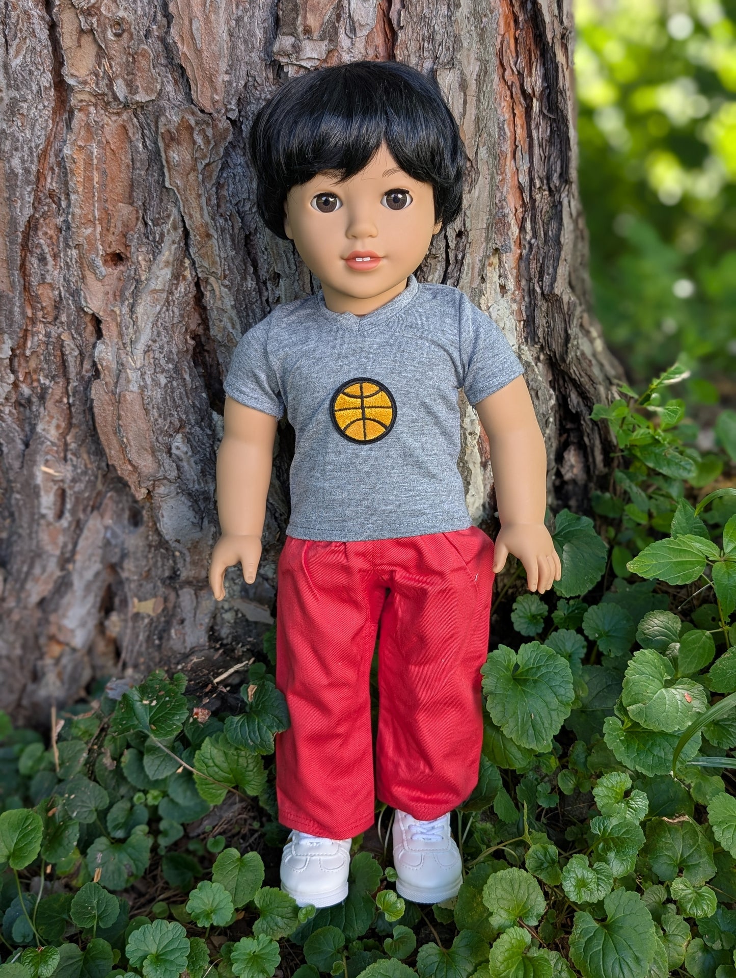 Amir